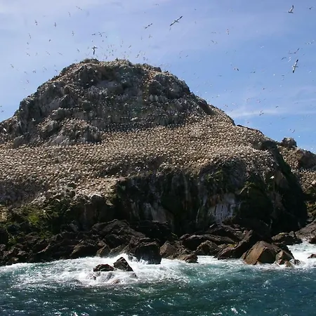 Le Colombier Bretagne Louannec